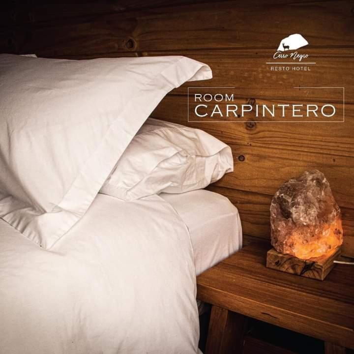 Hotel Cerro Negro Coyhaique Esterno foto